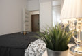 Apartamenty Luxus